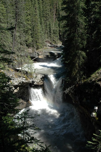 Johnston Creek